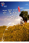 《芒草花在唱歌》封面