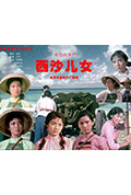 西沙儿女封面