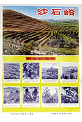 沙石峪封面