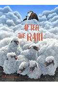 雨后封面