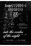 Into the Realm of the Night封面
