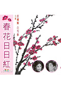 春花日日红封面