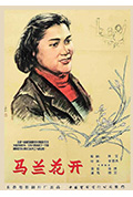 《马兰花开》封面