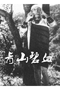 《青山碧血》封面