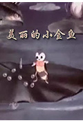 美丽的小金鱼封面