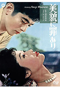 美丽有罪封面