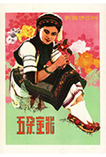 《五朵金花》封面
