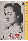 《孽火》封面