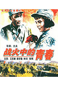 《战火中的青春》封面