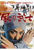 风之武士封面
