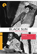 黑色太阳封面