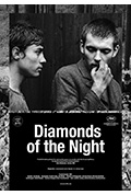 夜之钻封面