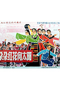 《朵朵红花向太阳》封面