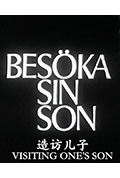造访儿子封面