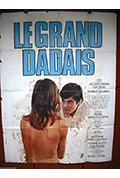 《Le grand dadais》封面