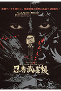 忍者武艺帐封面