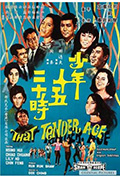 少年十五二十时封面