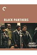 《黑豹党》封面