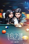 《飞鸟之渊》封面
