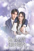 《陆太太的限时婚约》封面