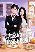 《沈总的偏宠小厨娘》封面