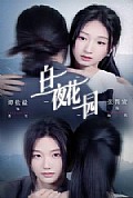 《白夜花园》封面