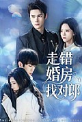 《走错婚房找对郎》封面