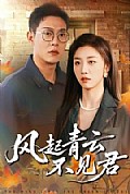 《风起青云不见君》封面