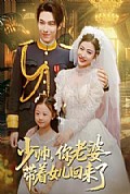 《少帅，你老婆带着女儿回来了》封面
