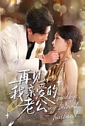 《再见，我亲爱的老公》封面