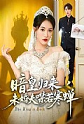 《暗皇归来，未婚夫噤若寒蝉》封面