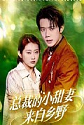 《总裁的小甜妻来自乡野》封面