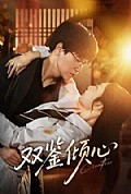 《双鉴倾心》封面