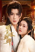 《明月嫁卿卿》封面