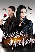 《夫人归来后我身登青云梯》封面