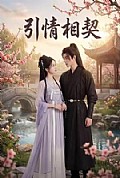 《引情相契》封面