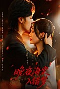 《晚夜海棠入错梦》封面