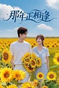 《那年正相逢》封面