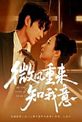 《微风重来知我意》封面