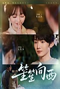 《笙笙向西》封面