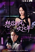 《想你的风吹了七年》封面