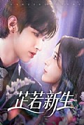 《芷若新生》封面
