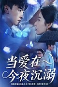 《当爱在今夜沉溺》封面