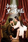 《少帅的黑心菟丝花》封面