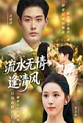 《流水无情逢清风》封面