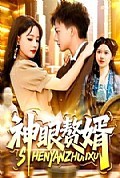 《神眼赘婿》封面