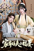 《家有旺夫小福妻》封面