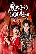 《废太子的白月光是仙女》封面
