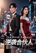 《逆袭合伙人》封面