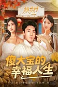 《傻大宝的幸福人生》封面